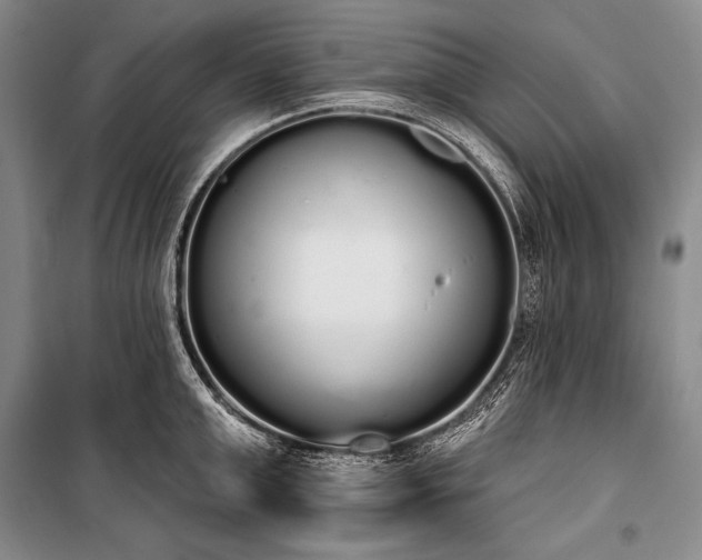 X0000101230999200806271507