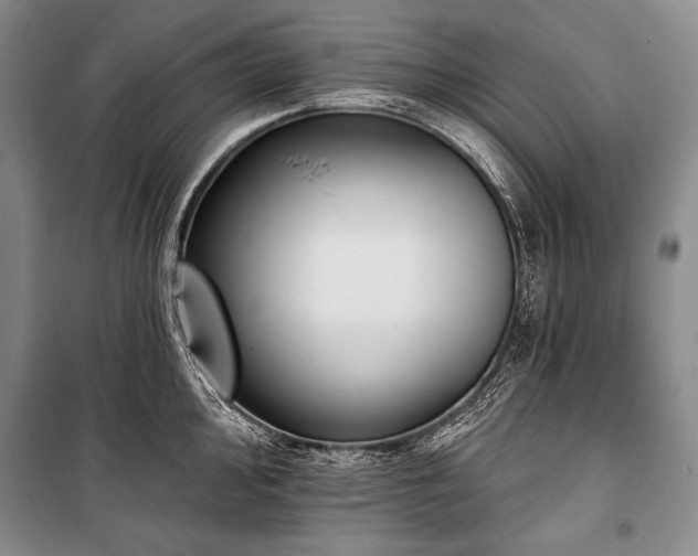 X0000101231000200806271507