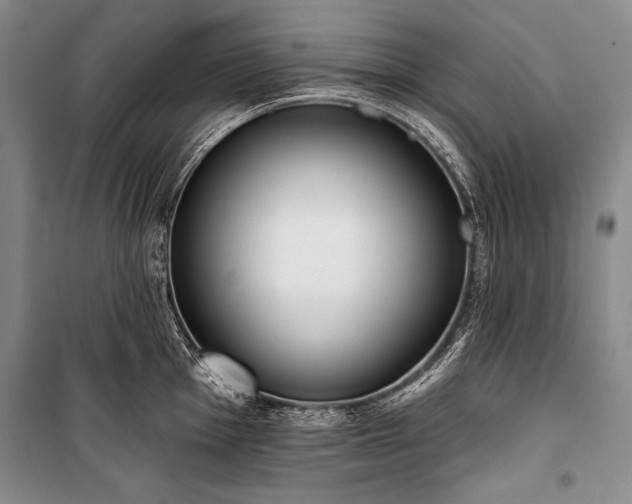 X0000101231001200806271507