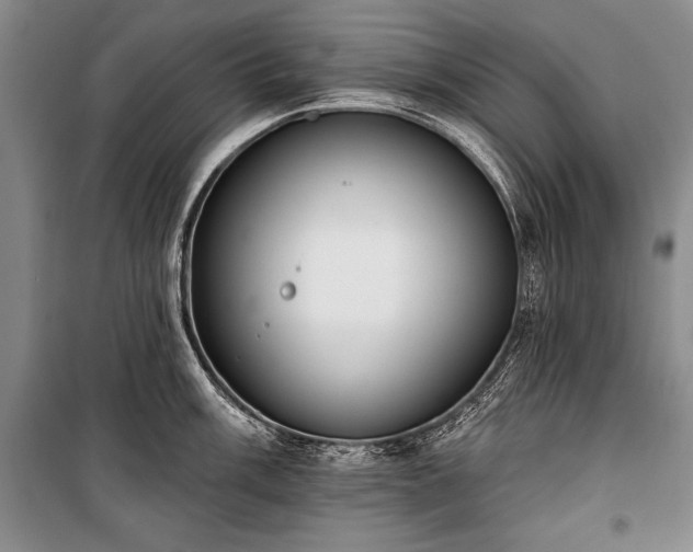 X0000101231003200806271507