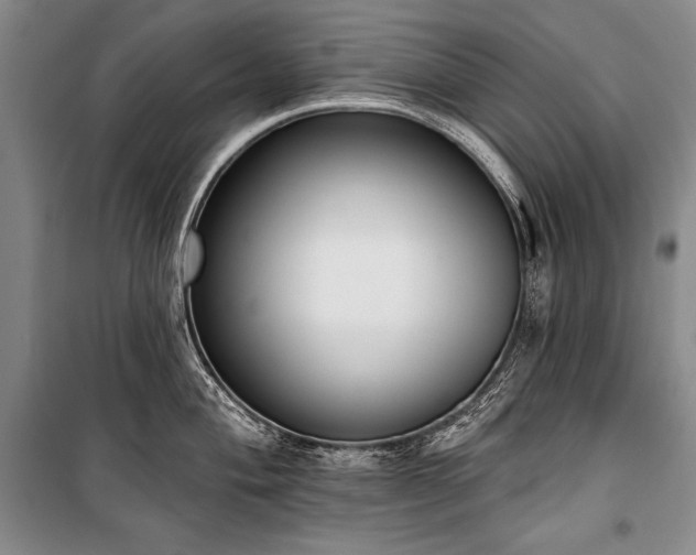 X0000101231004200806271507