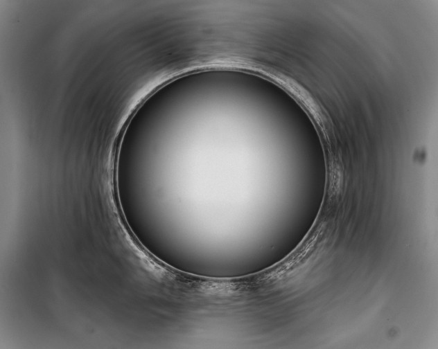 X0000101231006200806271507