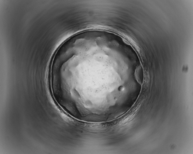 X0000101231007200806271507