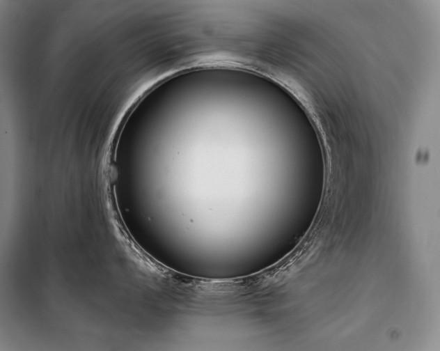 X0000101231008200806271507