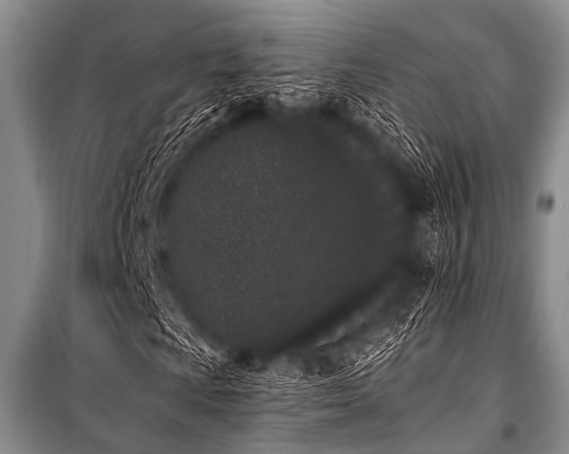 X0000101231009200806271506