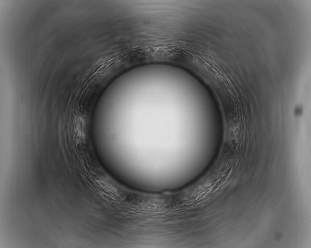 X0000101231010200806271506