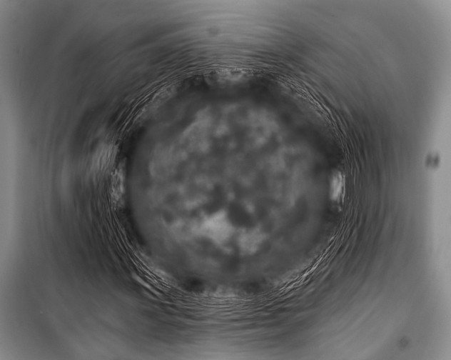 X0000101231011200806271506