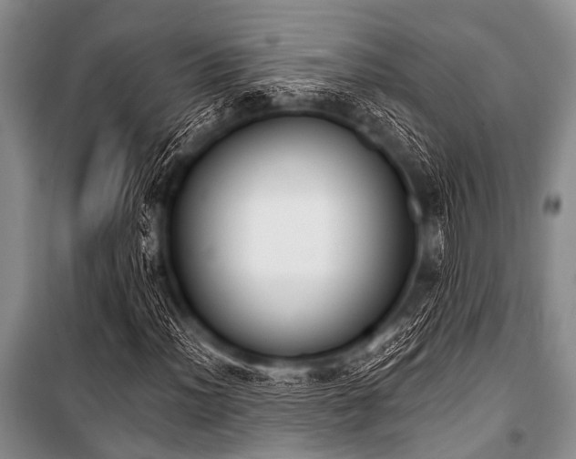 X0000101231012200806271506