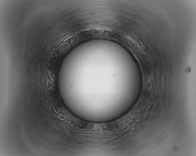 X0000101231013200806271506