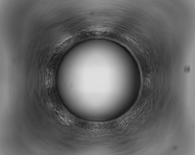 X0000101231014200806271506
