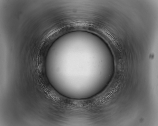 X0000101231015200806271506