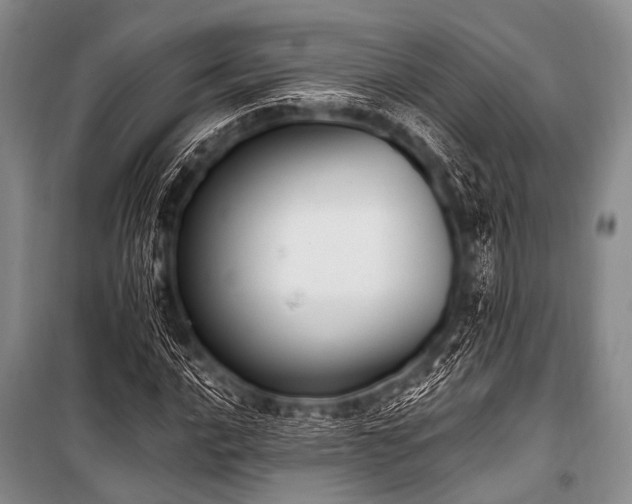 X0000101231016200806271506