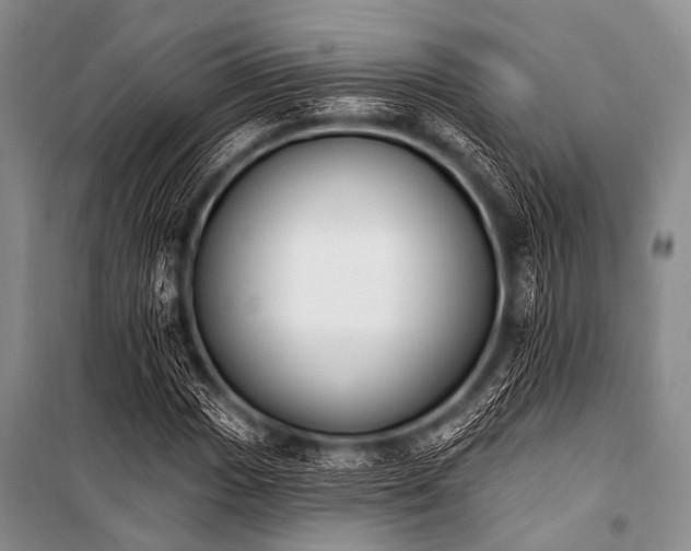 X0000101231017200806271506