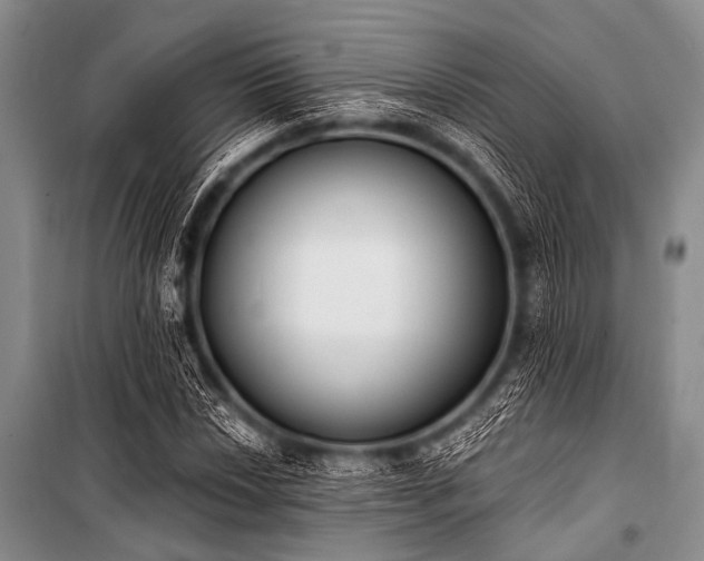 X0000101231018200806271506