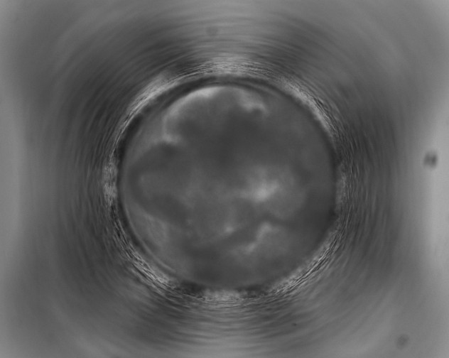 X0000101231019200806271506