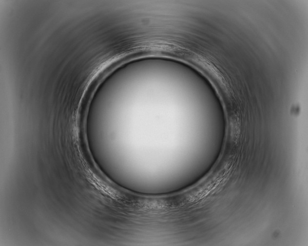 X0000101231020200806271506