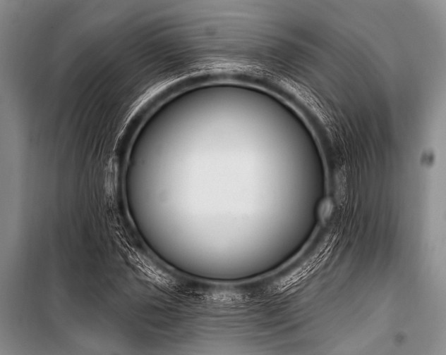 X0000101231021200806271506
