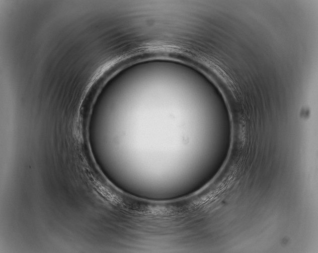 X0000101231022200806271506