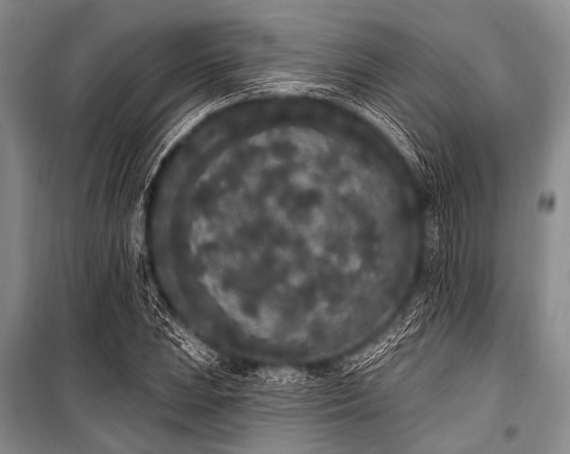X0000101231023200806271506