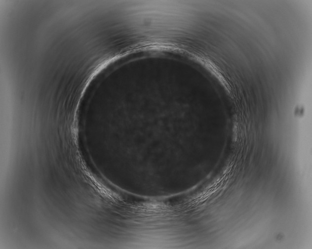 X0000101231024200806271506