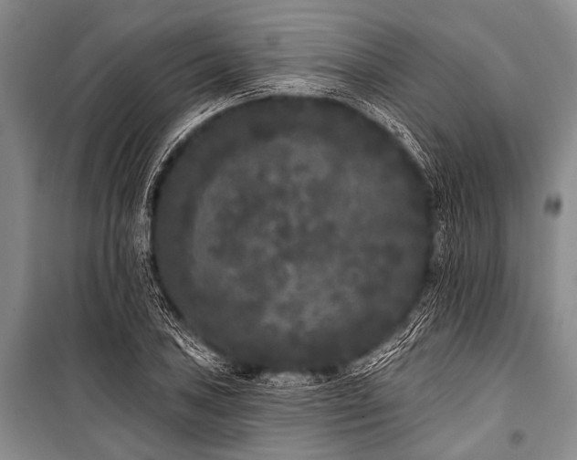 X0000101231027200806271506