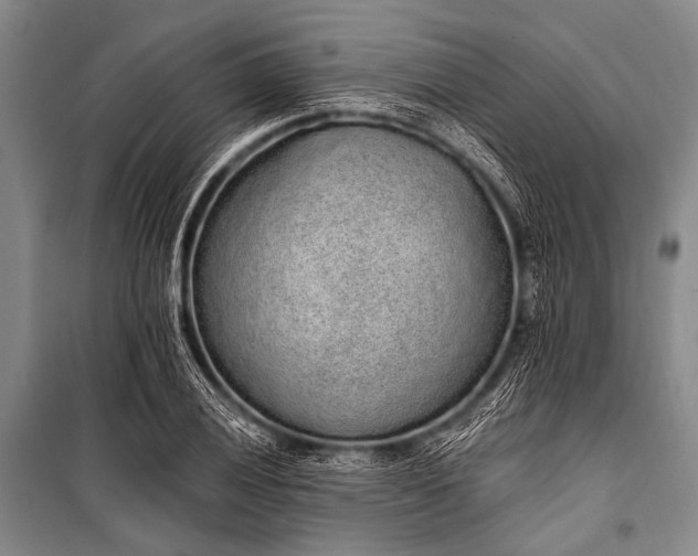 X0000101231028200806271506