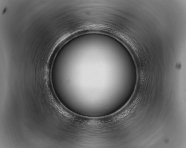 X0000101231029200806271506