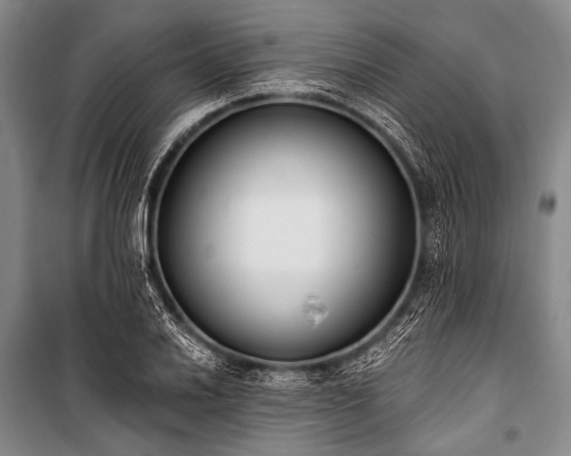 X0000101231030200806271506