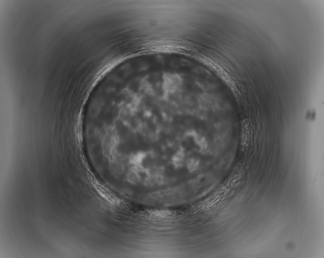 X0000101231031200806271506