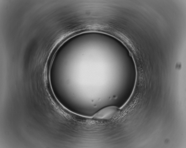 X0000101231032200806271506