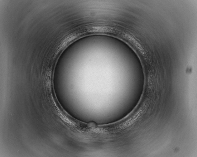 X0000101231033200806271506