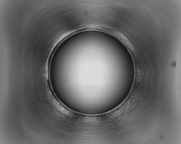 X0000101231036200806271506