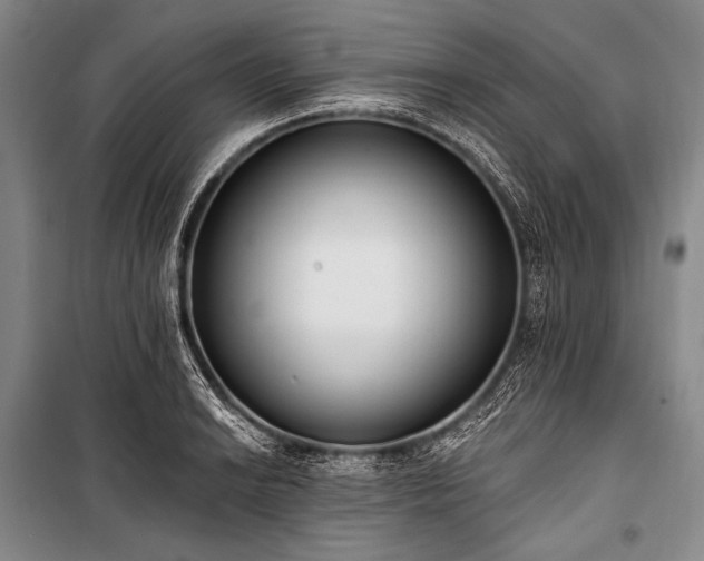 X0000101231038200806271506