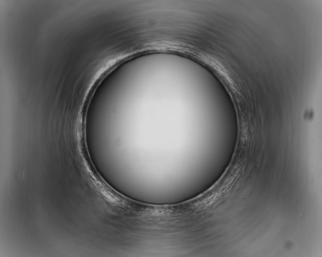 X0000101231040200806271506