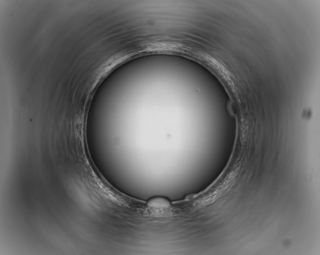 X0000101231041200806271506