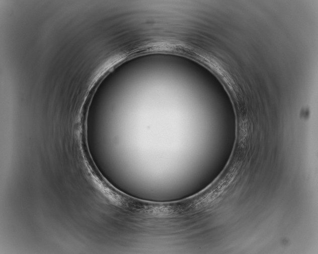 X0000101231042200806271506