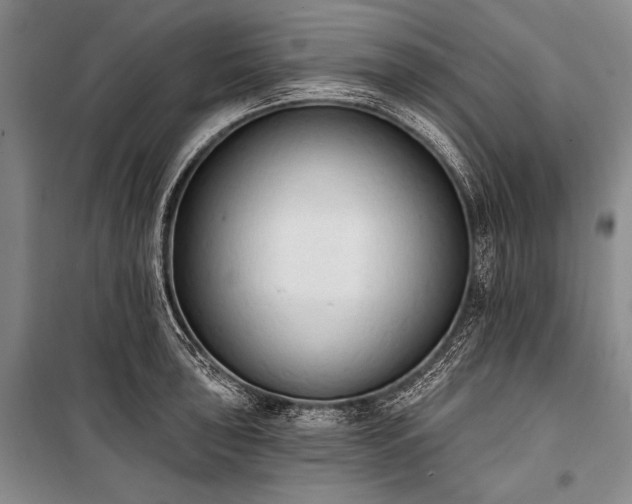 X0000101231043200806271507