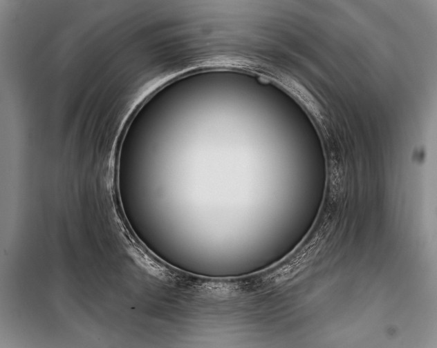 X0000101231044200806271507