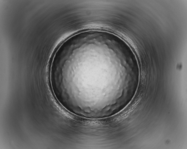 X0000101231045200806271507