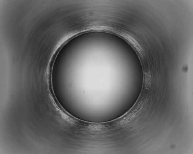 X0000101231046200806271507