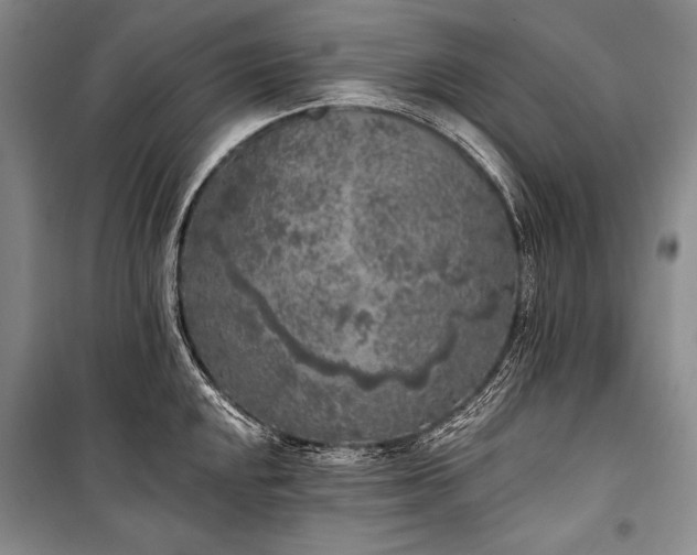 X0000101231048200806271507