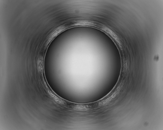X0000101231049200806271507