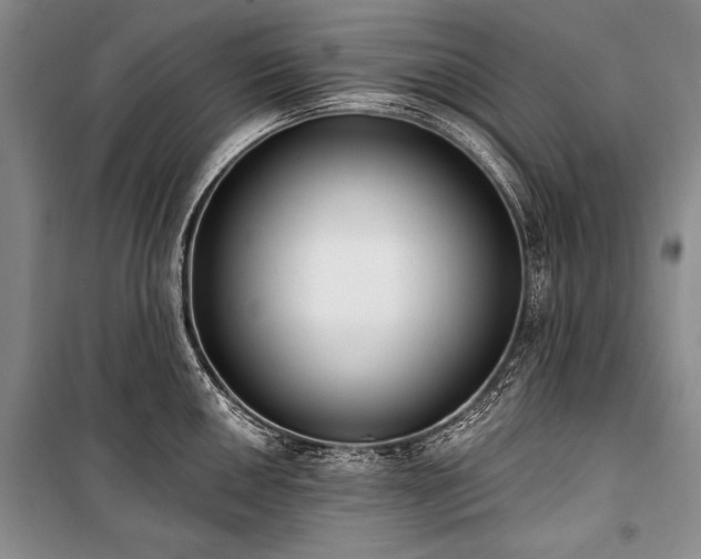 X0000101231050200806271507