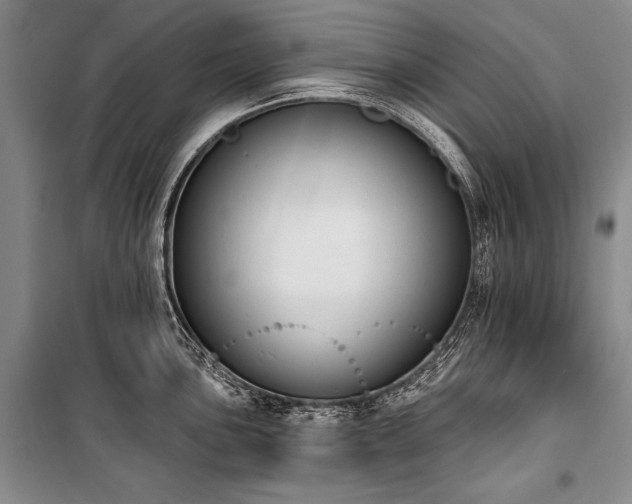 X0000101231051200806271507
