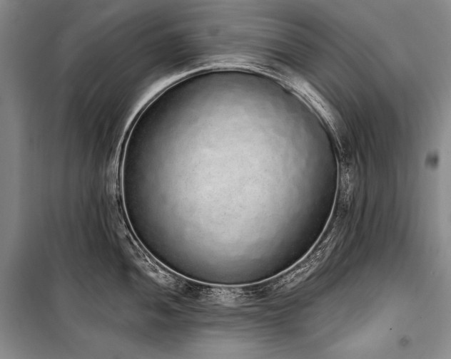 X0000101231052200806271507