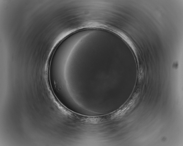 X0000101231053200806271507