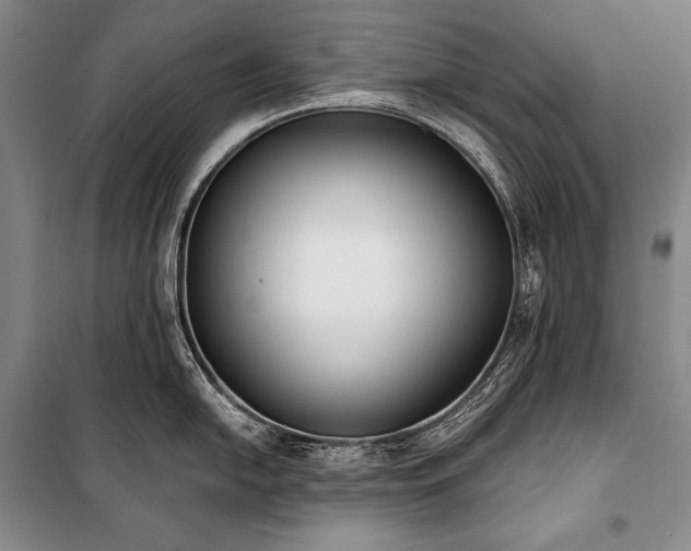 X0000101231054200806271507