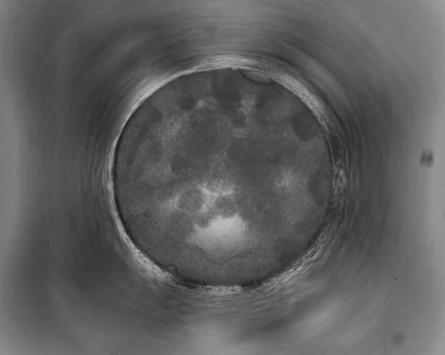 X0000101231055200806271507
