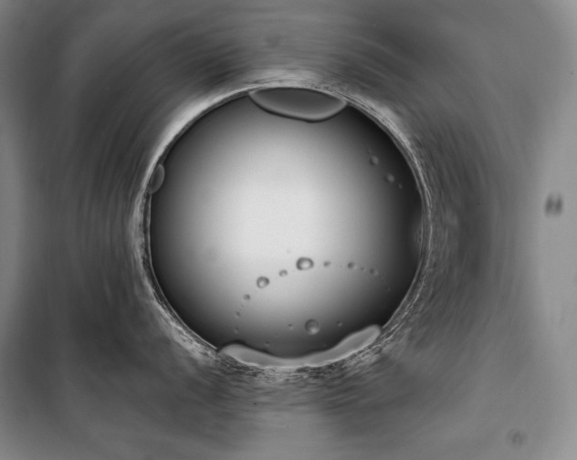 X0000101231056200806271507