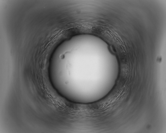 X0000101231057200806271506